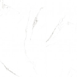 Bodenfliese Bianco White 60×60 cm