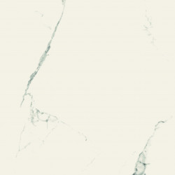Bodenfliese Bianco White 60×120 cm