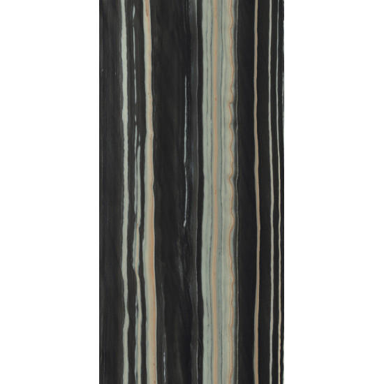 Bodenfliese Forest Schwarz Poliert 120×260 cm
