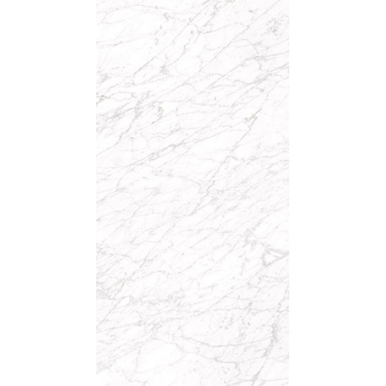 Bodenfliese Carrara Poliert 60×120 cm