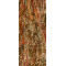 Bodenfliese Wonder Braun Poliert 80×80 cm