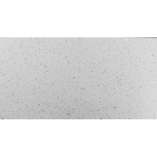 Quarzkomposit Weiß 30×60 cm